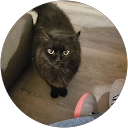 Gary Woodruff profile picture